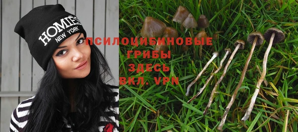 мет Струнино