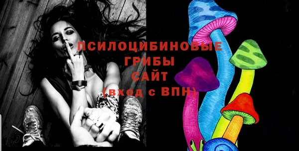 гашик Балахна