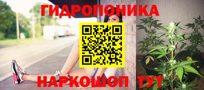 крисы Кимры
