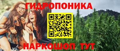крисы Кимры