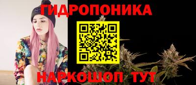 крисы Кимры