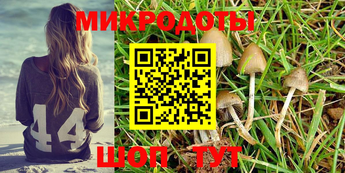 Малоярославец  Галлюциногенные грибы Cubensis  Вход с VPN  Псилоцибиновые грибы Psilocybine cubensis 